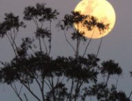 La Lune. // Source : Pxhere/CC0 Domaine public (photo recadrée)