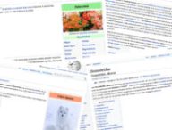 Que disent nos recherches sur l'évolution de la biodiversité ? // Source : Captures d'écran Wikipédia