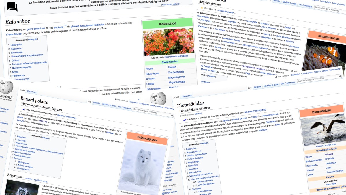 Que disent nos recherches sur l'évolution de la biodiversité ? // Source : Captures d'écran Wikipédia Que disent nos recherches sur l'évolution de la biodiversité ? // Source : Captures d'écran Wikipédia