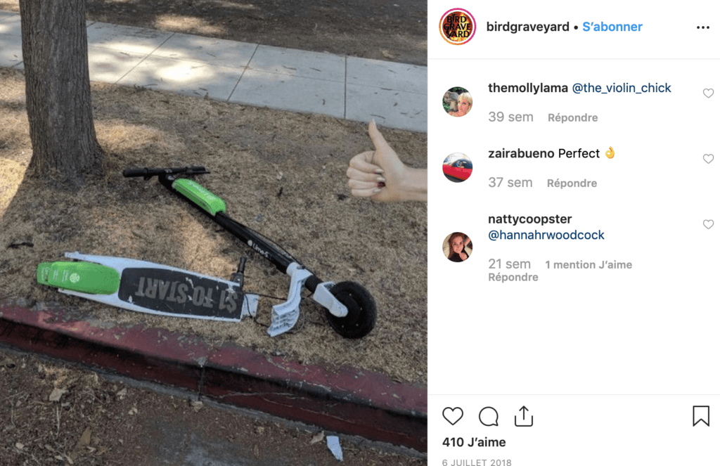 Instagram/BirdGraveyard Instagram/BirdGraveyard