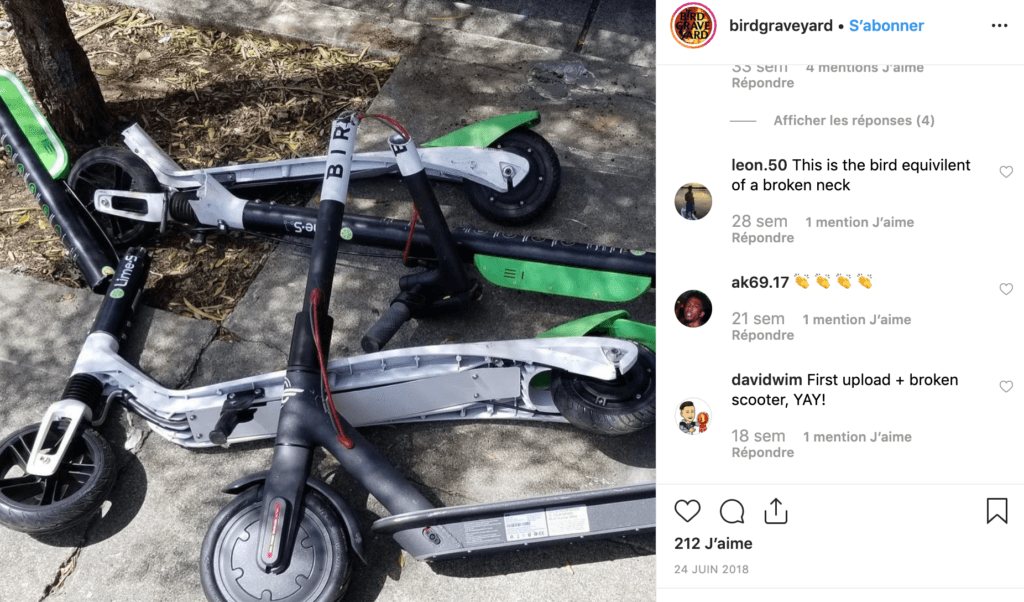 Instagram/BirdGraveyard Instagram/BirdGraveyard