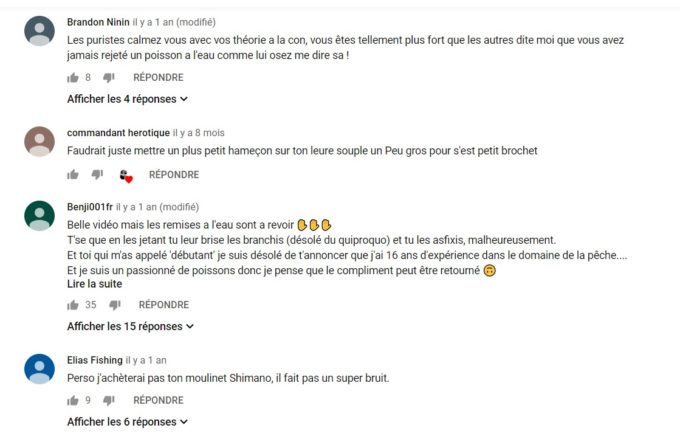Dans les commentaires YouTube, la manière de relacher un poisson fait régulièrement débat // Source : YouTube : Aminiakk Fishing Dans les commentaires YouTube, la manière de relacher un poisson fait régulièrement débat // Source : YouTube : Aminiakk Fishing