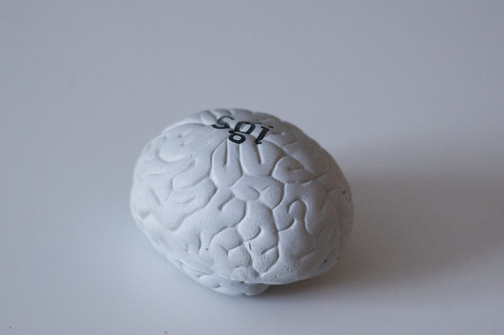 Une reproduction d'un cerveau. // Source : Flickr/CC/Anton Lindström Une reproduction d'un cerveau. // Source : Flickr/CC/Anton Lindström