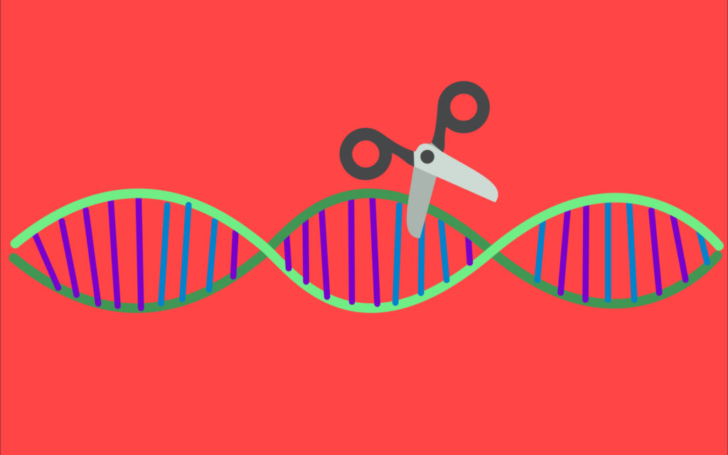 CRISPR, un « ciseau génétique ». // Source : Pixabay (photo recadrée), Wikimedia/CC/Emoji One, montage Numerama CRISPR, un « ciseau génétique ». // Source : Pixabay (photo recadrée), Wikimedia/CC/Emoji One, montage Numerama