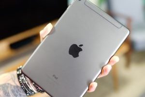Dos iPad mini 5 // Source : Ulrich Rozier pour Numerama