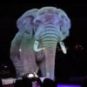 Un éléphant hologramme // Source : YouTube/Monde Animal