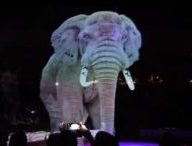 Un éléphant hologramme // Source : YouTube/Monde Animal