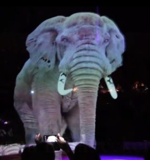 Un éléphant hologramme // Source : YouTube/Monde Animal