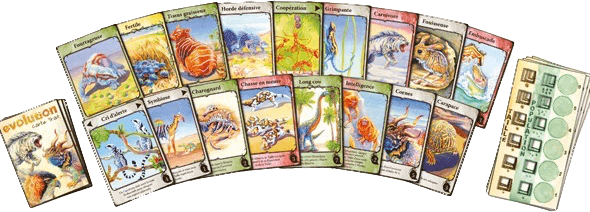 Evolution Evolution