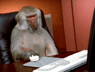 Comment s'abonner à 400 comptes par jour. // Source : Giphy