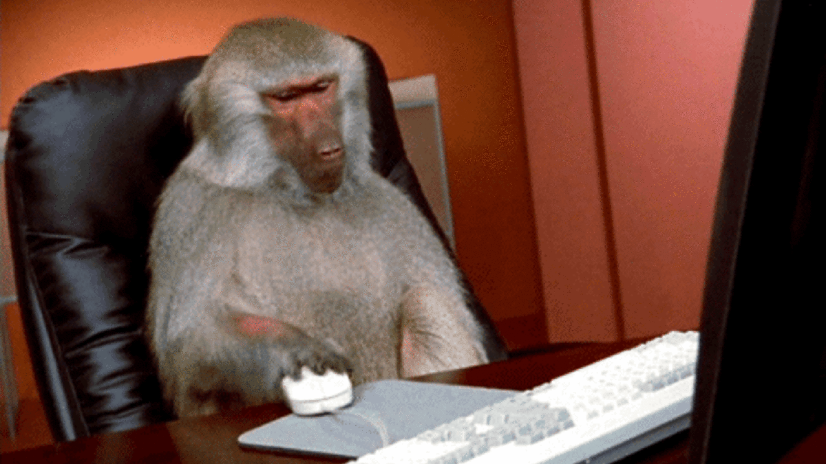 Comment s'abonner à 400 comptes par jour. // Source : Giphy Comment s'abonner à 400 comptes par jour. // Source : Giphy