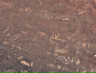 googlegif