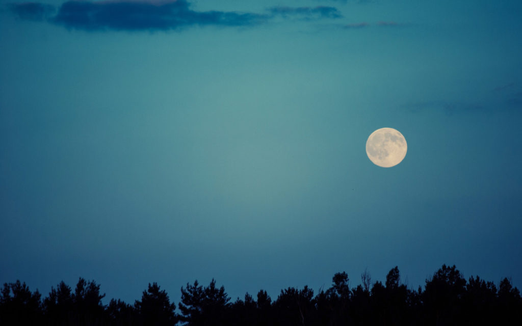 La Lune. // Source : Pexels (photo recadrée) La Lune. // Source : Pexels (photo recadrée)