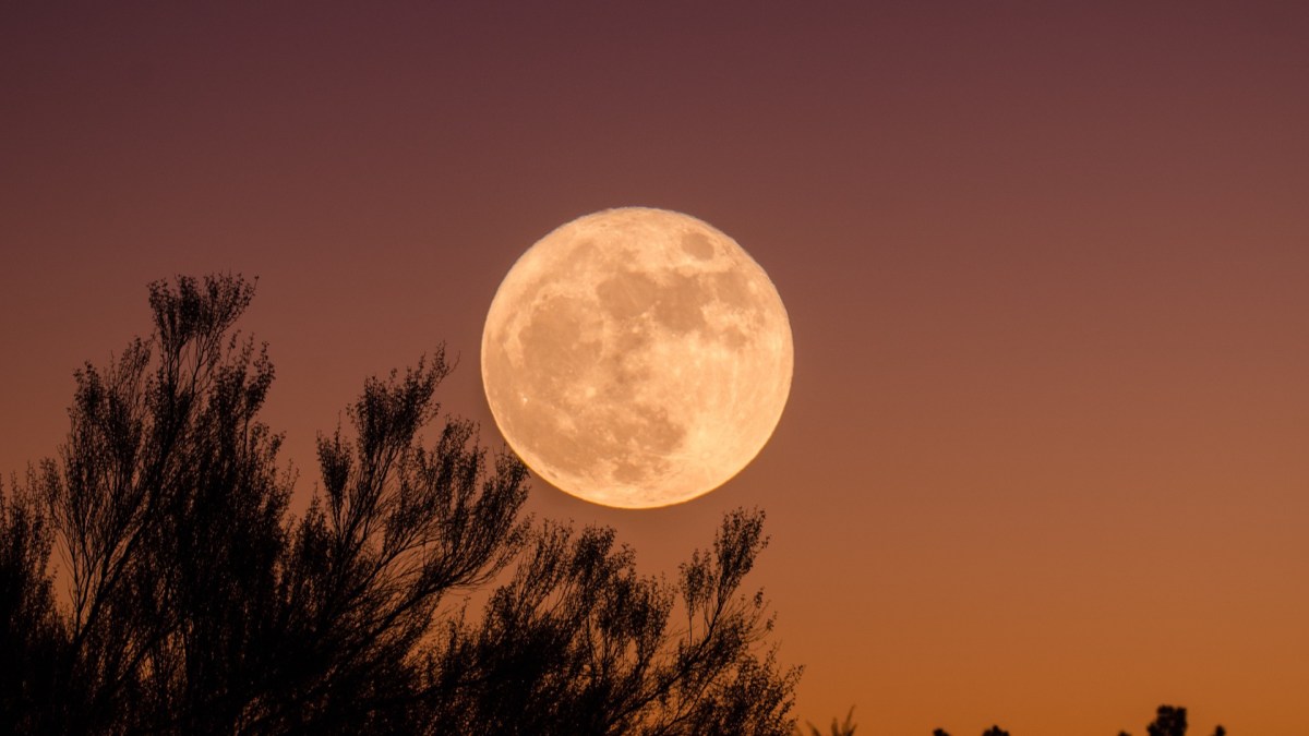 À quoi ressemble l'intérieur de la Lune ? // Source : Pxhere/CC0 Domaine public (photo recadrée) À quoi ressemble l'intérieur de la Lune ? // Source : Pxhere/CC0 Domaine public (photo recadrée)