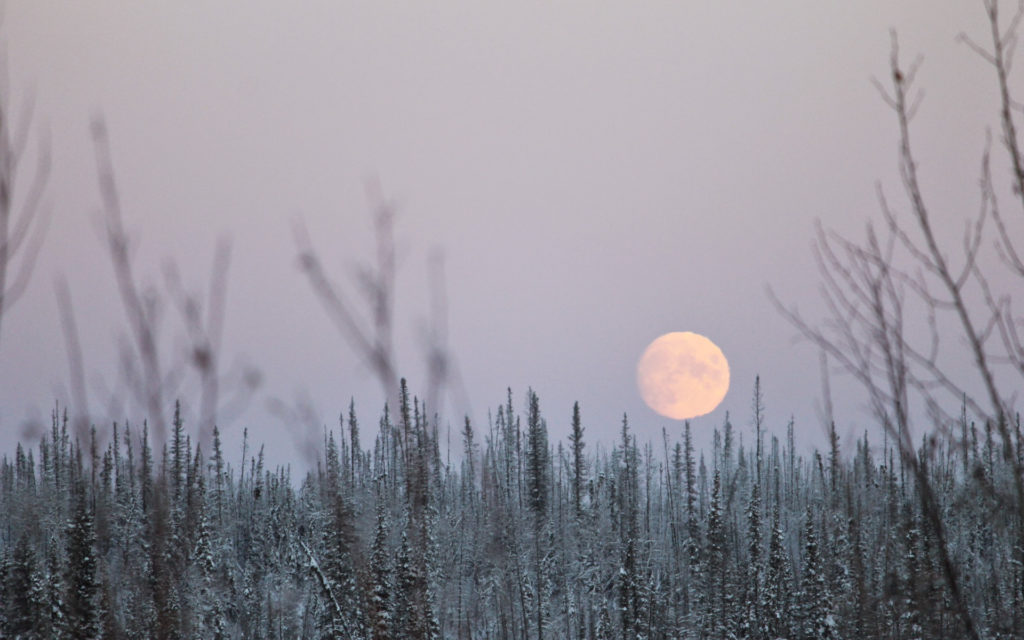 La Lune n'a pas d'autre nom. // Source : Pxhere/CC0 Domaine public (photo recadrée) La Lune n'a pas d'autre nom. // Source : Pxhere/CC0 Domaine public (photo recadrée)