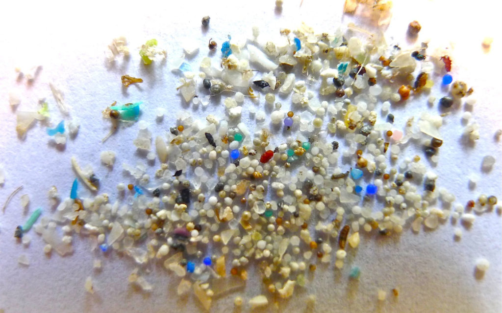 Des microplastiques. // Source : Flickr/CC/Oregon State University (photo recadrée) Des microplastiques. // Source : Flickr/CC/Oregon State University (photo recadrée)
