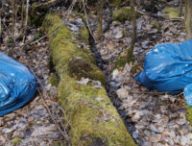 Des sacs plastiques dans la nature. // Source : Pxhere/CC0 Domaine public (photo recadrée)
