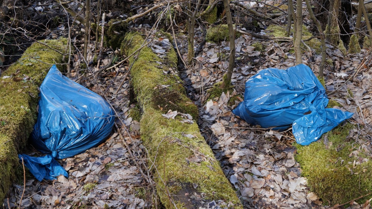 Des sacs plastiques dans la nature. // Source : Pxhere/CC0 Domaine public (photo recadrée) Des sacs plastiques dans la nature. // Source : Pxhere/CC0 Domaine public (photo recadrée)