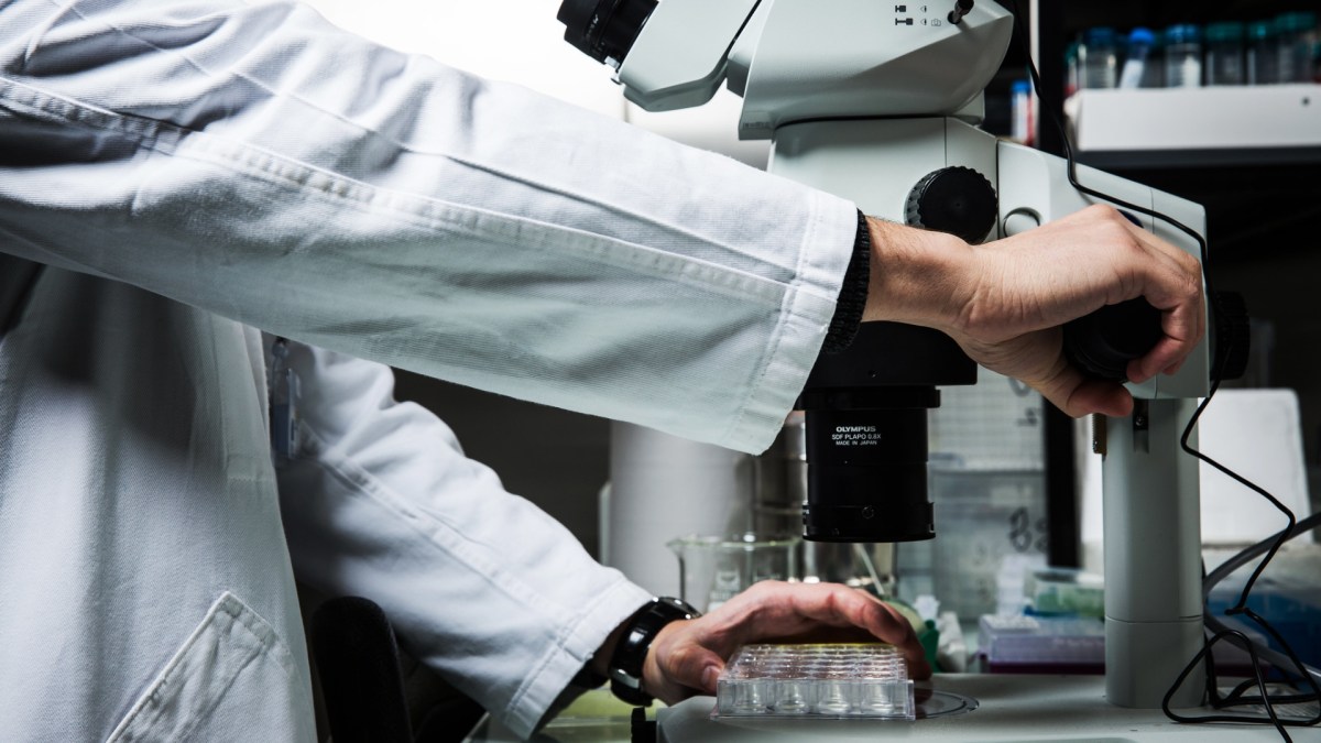 Dans un laboratoire. // Source : Flickr/CC/École polytechnique, J. Barande (photo recadrée) Dans un laboratoire. // Source : Flickr/CC/École polytechnique, J. Barande (photo recadrée)