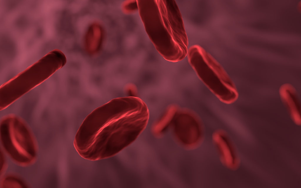 Des globules rouges dans le sang. // Source : Pixabay (photo recadrée) Des globules rouges dans le sang. // Source : Pixabay (photo recadrée)