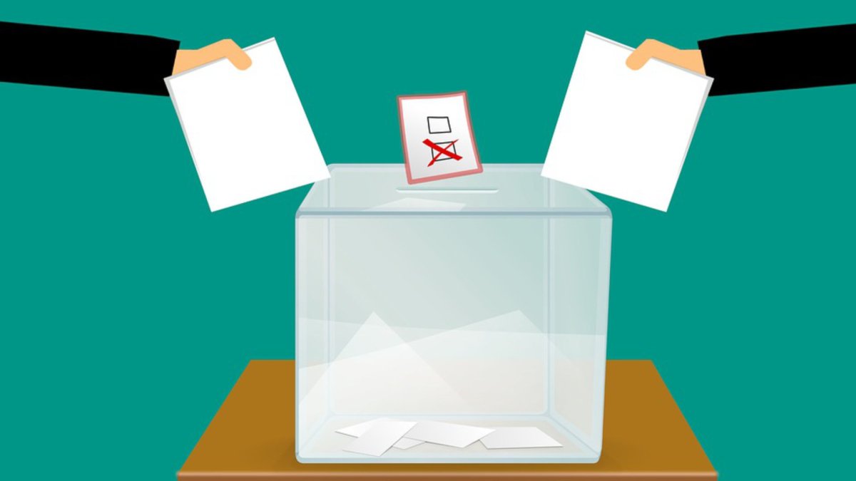 La député Paula Forteza a insisté pour que l'application soit soumise au vote. // Source : Mohammed Hasan sur Pixabay La député Paula Forteza a insisté pour que l'application soit soumise au vote. // Source : Mohammed Hasan sur Pixabay