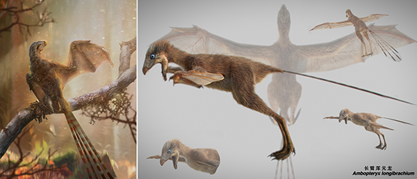 Une représentation de ce dinosaure. // Source : Chung-Tat Cheung Une représentation de ce dinosaure. // Source : Chung-Tat Cheung
