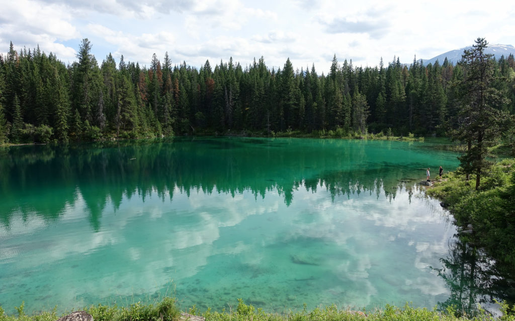 La forêt boréale canadienne. // Source : Pixabay (photo recadrée) La forêt boréale canadienne. // Source : Pixabay (photo recadrée)