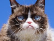 grumpy