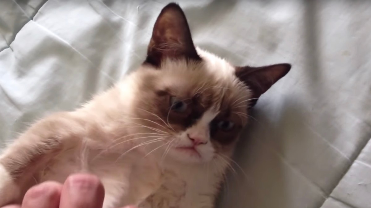 grumpy-une grumpy-une