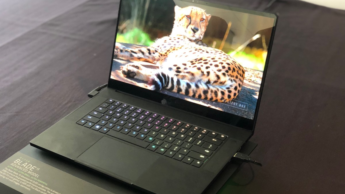 Razer Blade OLED // Source : Numerama Razer Blade OLED // Source : Numerama