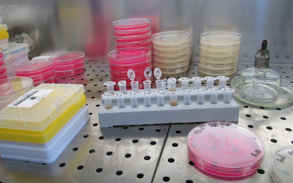 Du matériel dans un laboratoire. // Source : Pxhere/CC0 Domaine public (photo recadrée) Du matériel dans un laboratoire. // Source : Pxhere/CC0 Domaine public (photo recadrée)