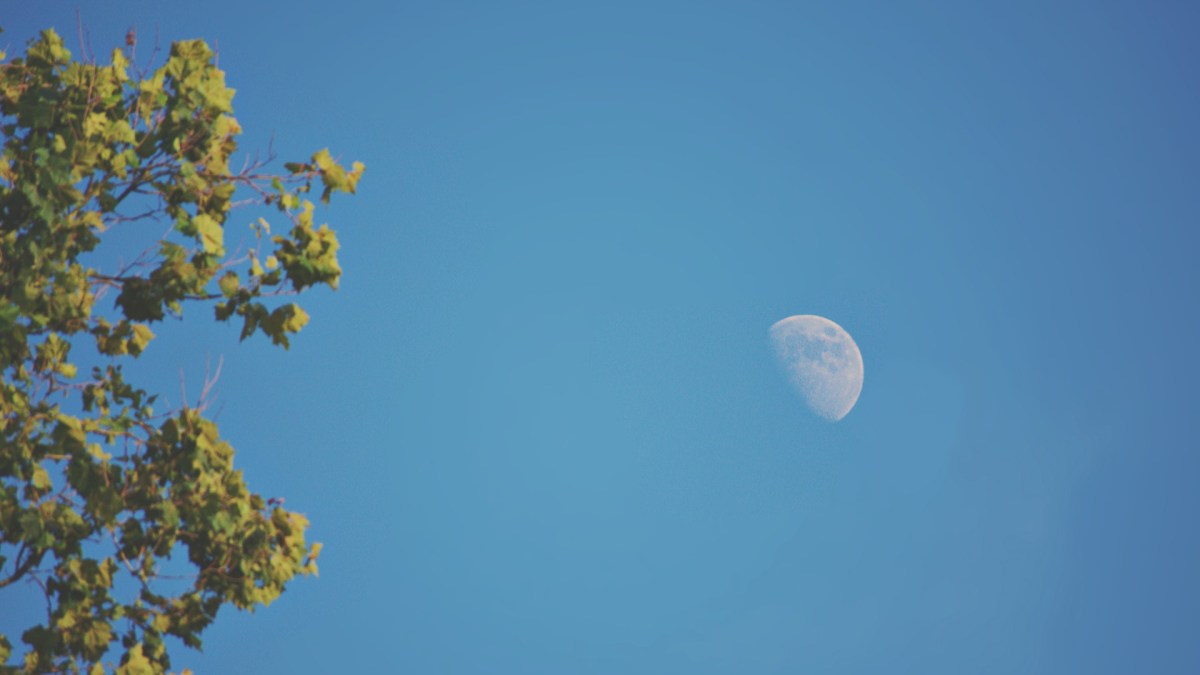 La Lune. // Source : Pexels (photo recadrée) La Lune. // Source : Pexels (photo recadrée)
