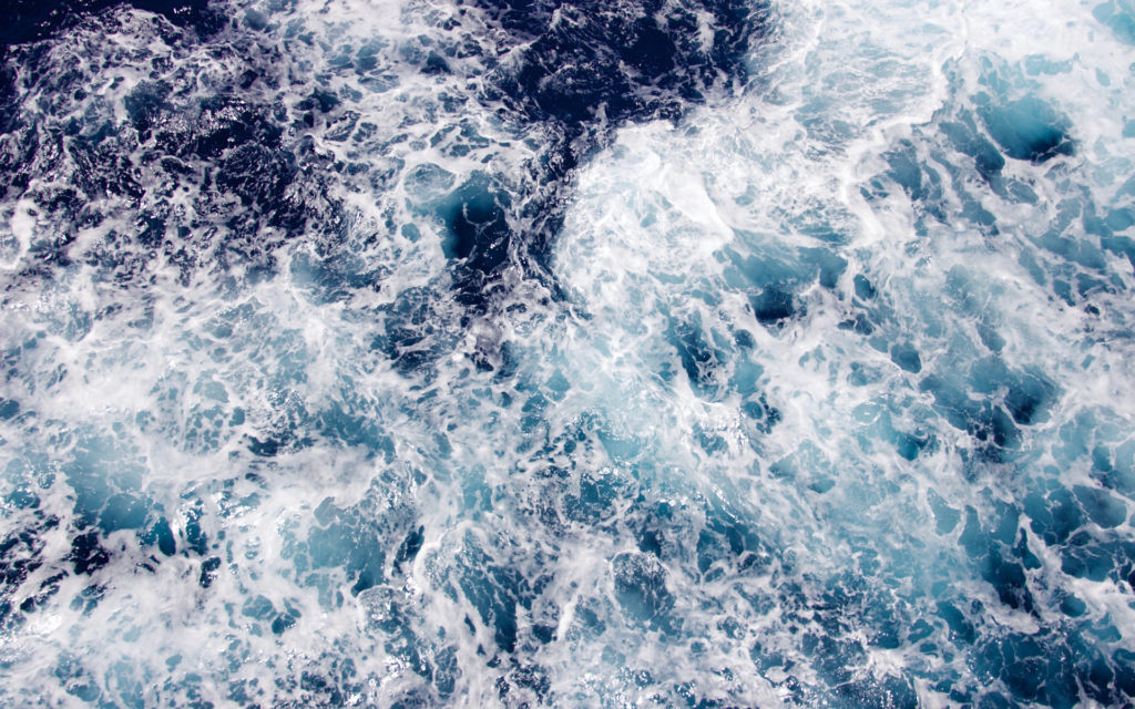 La présence d'oxygène dans les océans est cruciale pour ces invertébrés. // Source : Pexels (photo recadrée) La présence d'oxygène dans les océans est cruciale pour ces invertébrés. // Source : Pexels (photo recadrée)