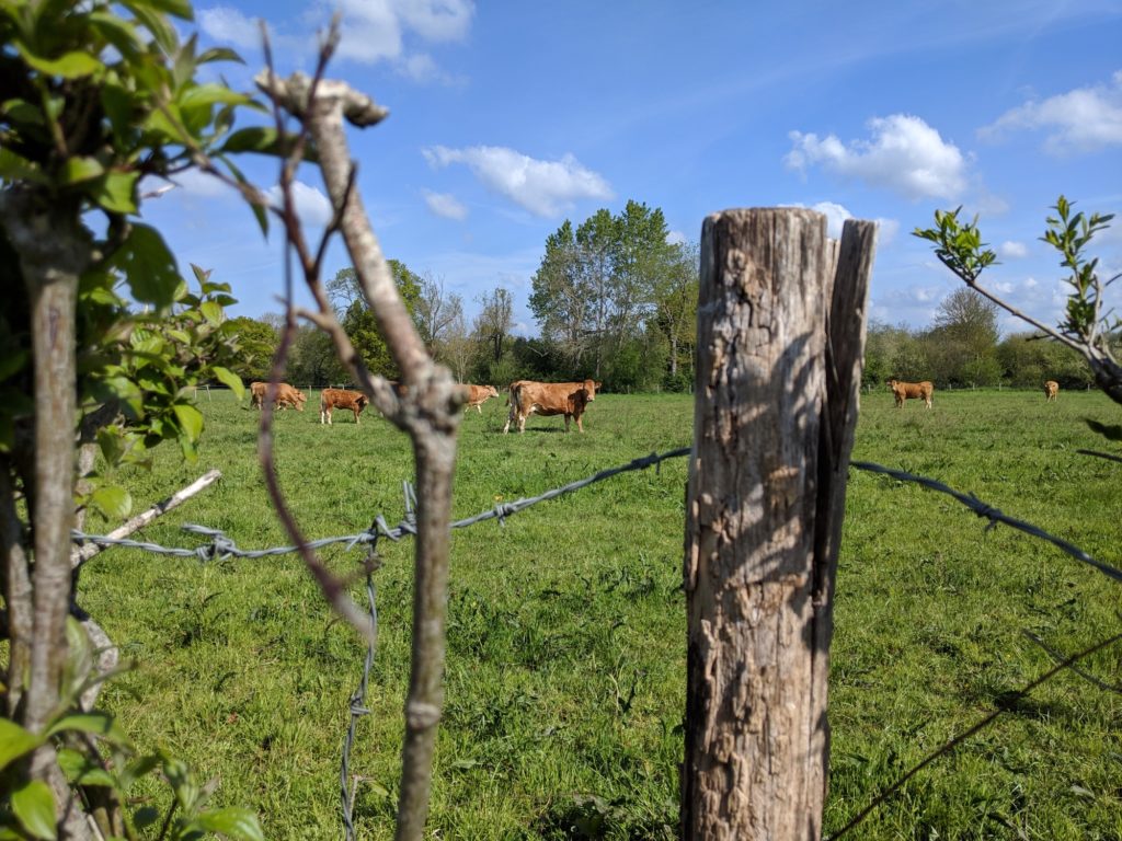 Photo avec le Pixel 3a de Google // Source : Julien Cadot pour Numerama Photo avec le Pixel 3a de Google // Source : Julien Cadot pour Numerama