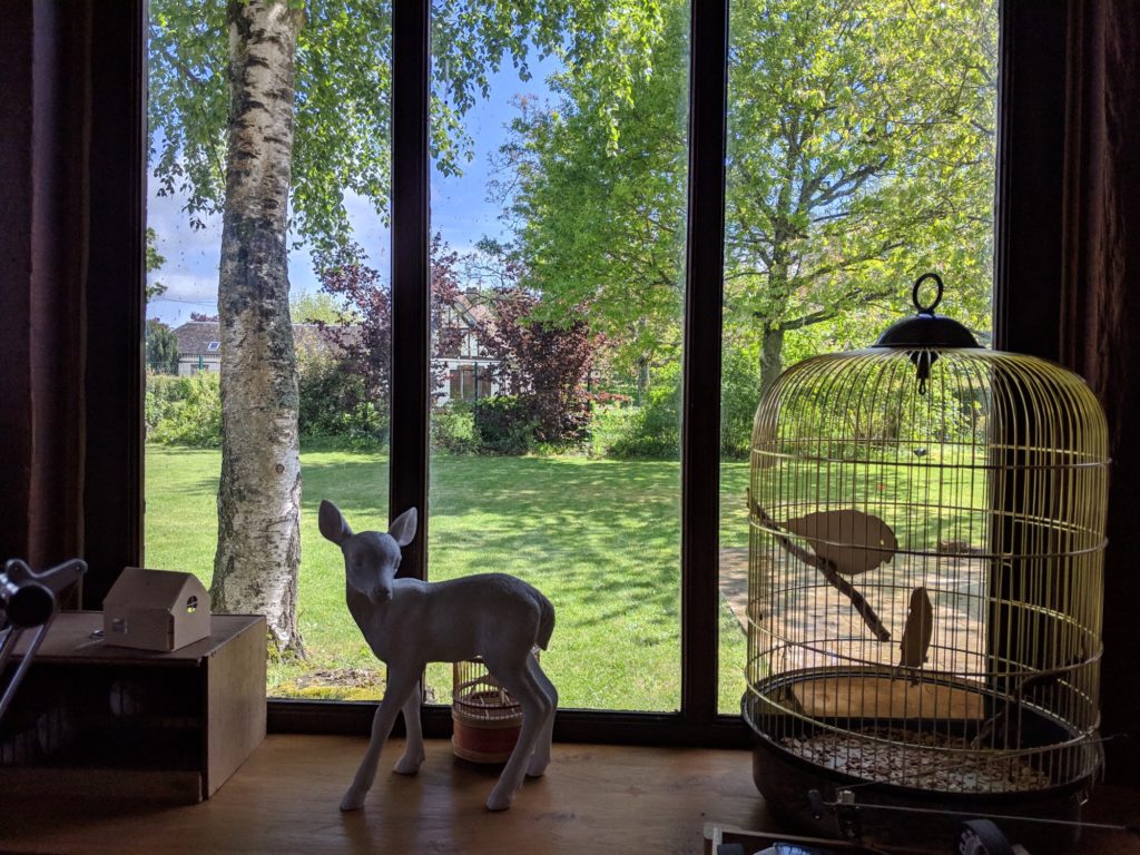 Photo avec le Pixel 3a de Google // Source : Julien Cadot pour Numerama Photo avec le Pixel 3a de Google // Source : Julien Cadot pour Numerama
