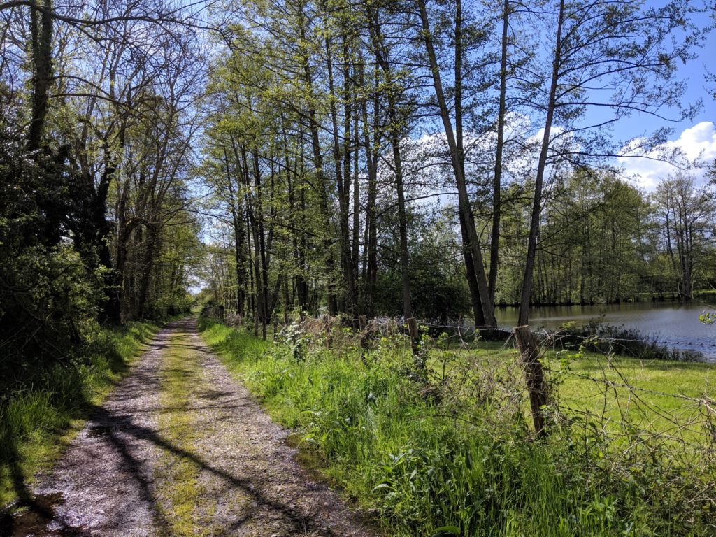 Photo avec le Pixel 3a de Google // Source : Julien Cadot pour Numerama Photo avec le Pixel 3a de Google // Source : Julien Cadot pour Numerama