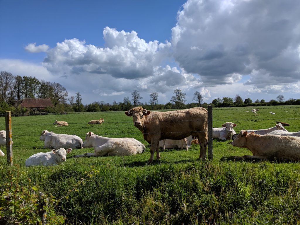 Photo avec le Pixel 3a de Google // Source : Julien Cadot pour Numerama Photo avec le Pixel 3a de Google // Source : Julien Cadot pour Numerama
