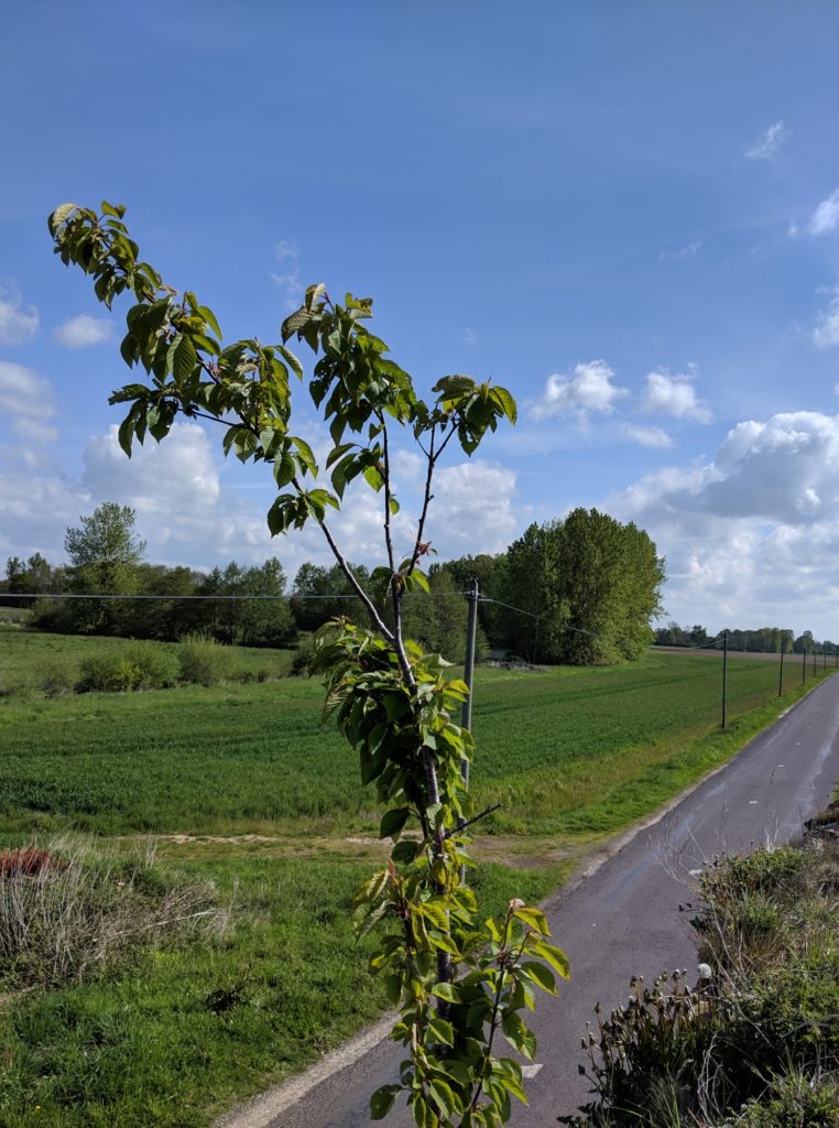 Photo avec le Pixel 3a de Google // Source : Julien Cadot pour Numerama Photo avec le Pixel 3a de Google // Source : Julien Cadot pour Numerama