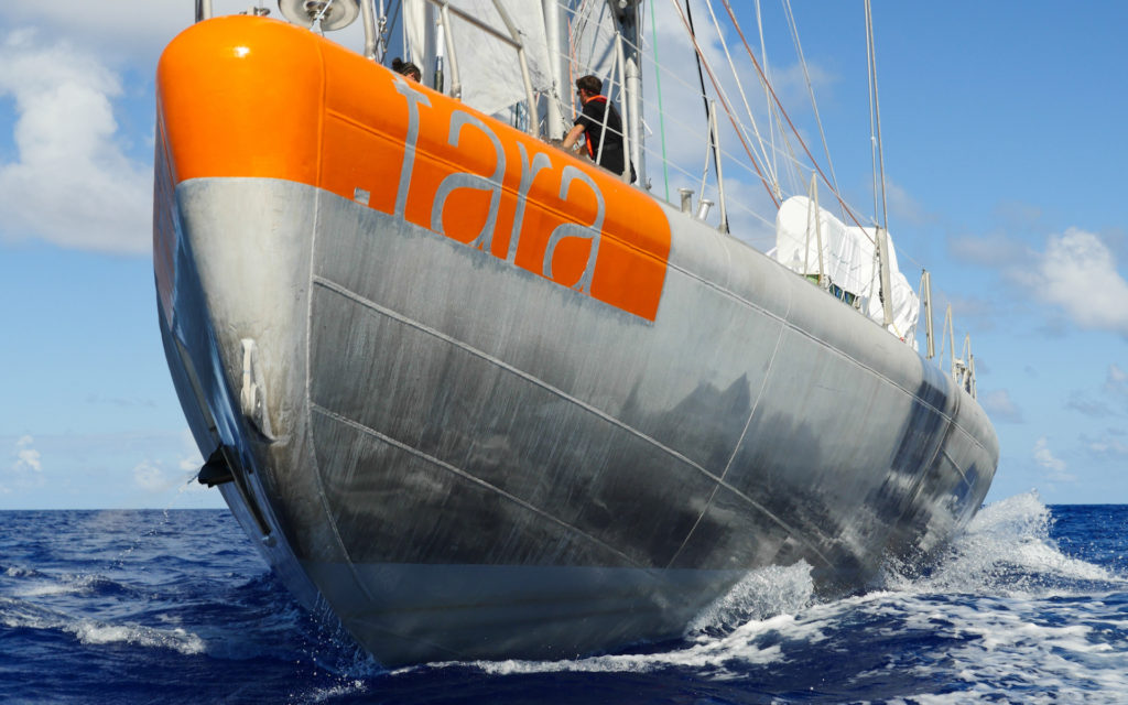 Tara en train de naviguer. // Source : Maeva Bardy - Fondation Tara Océan (photo recadrée) Tara en train de naviguer. // Source : Maeva Bardy - Fondation Tara Océan (photo recadrée)