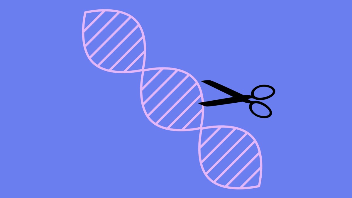 La technique du ciseau génétique CRISPR. // Source : Pixabay, montage Numerama La technique du ciseau génétique CRISPR. // Source : Pixabay, montage Numerama