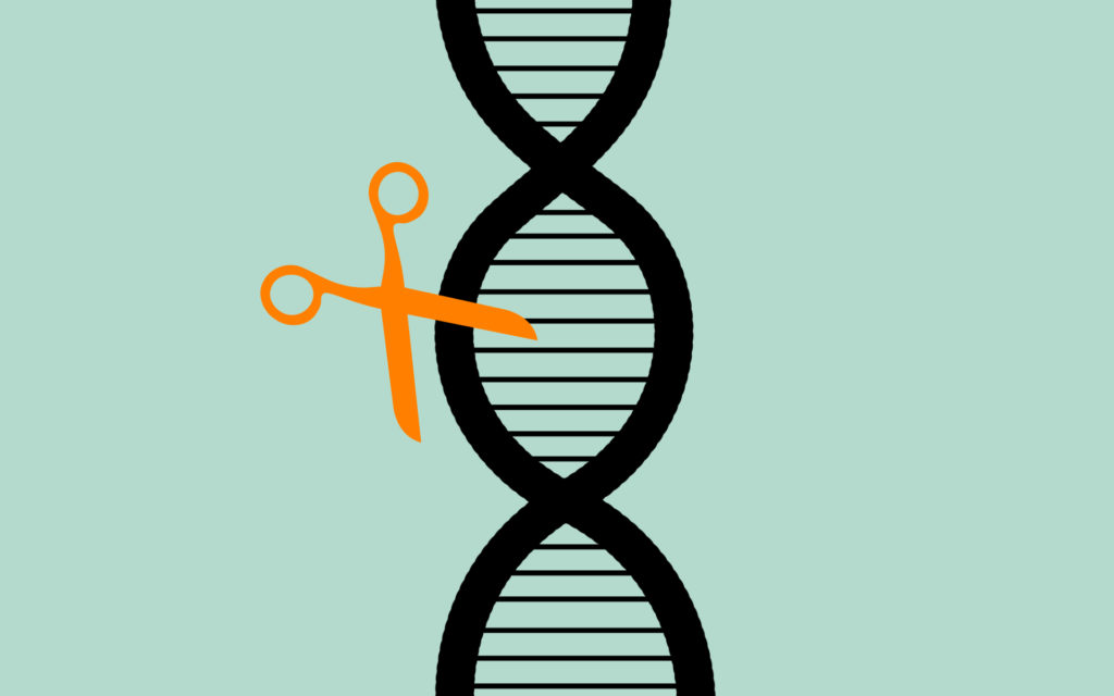 CRISPR, la technique du ciseau génétique. // Source : Pixabay, montage Numerama CRISPR, la technique du ciseau génétique. // Source : Pixabay, montage Numerama