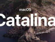 catalina