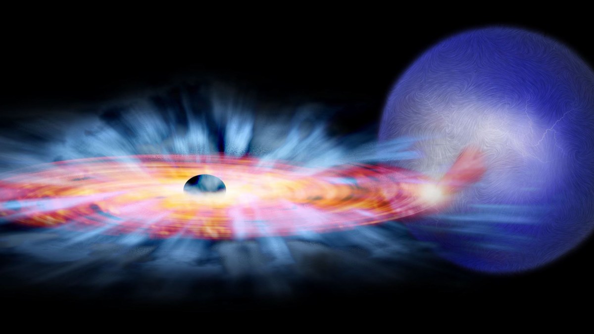 Un trou noir stellaire. // Source : Wikimedia/CC/NASA/CXC/M.Weiss (photo recadrée) Un trou noir stellaire. // Source : Wikimedia/CC/NASA/CXC/M.Weiss (photo recadrée)