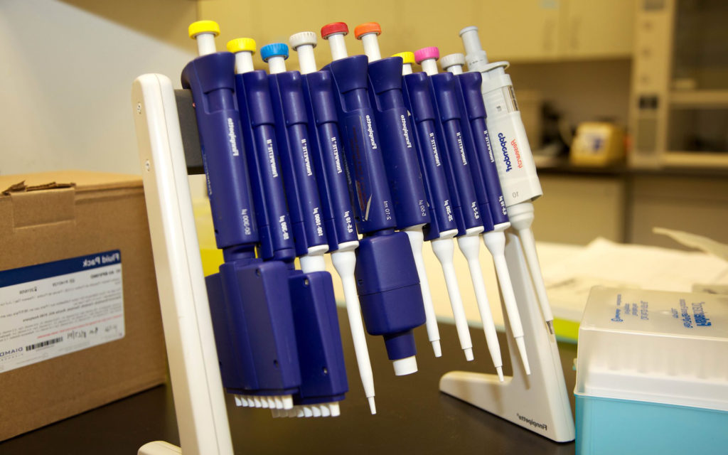 Des tests dans un laboratoire. // Source : Pixnio/CC0 Domaine public (photo recadrée) Des tests dans un laboratoire. // Source : Pixnio/CC0 Domaine public (photo recadrée)