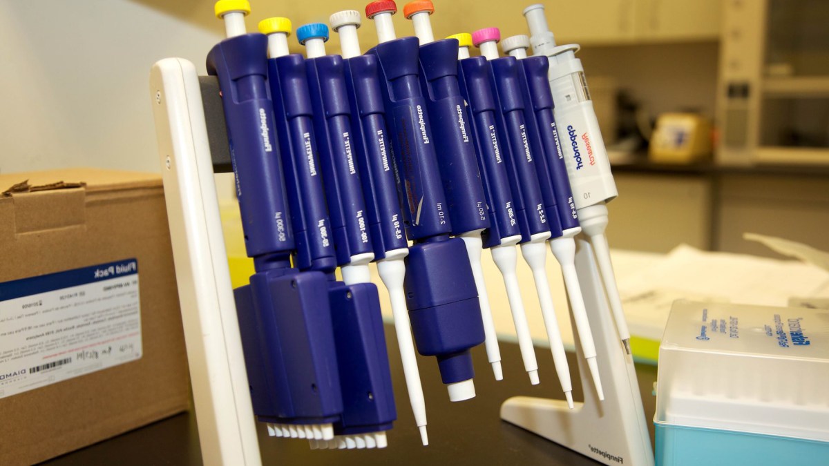 Des tests dans un laboratoire. // Source : Pixnio/CC0 Domaine public (photo recadrée) Des tests dans un laboratoire. // Source : Pixnio/CC0 Domaine public (photo recadrée)