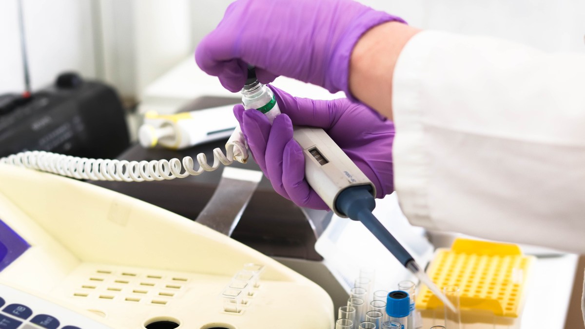 Des tests en laboratoire. // Source : Pixabay (photo recadrée) Des tests en laboratoire. // Source : Pixabay (photo recadrée)