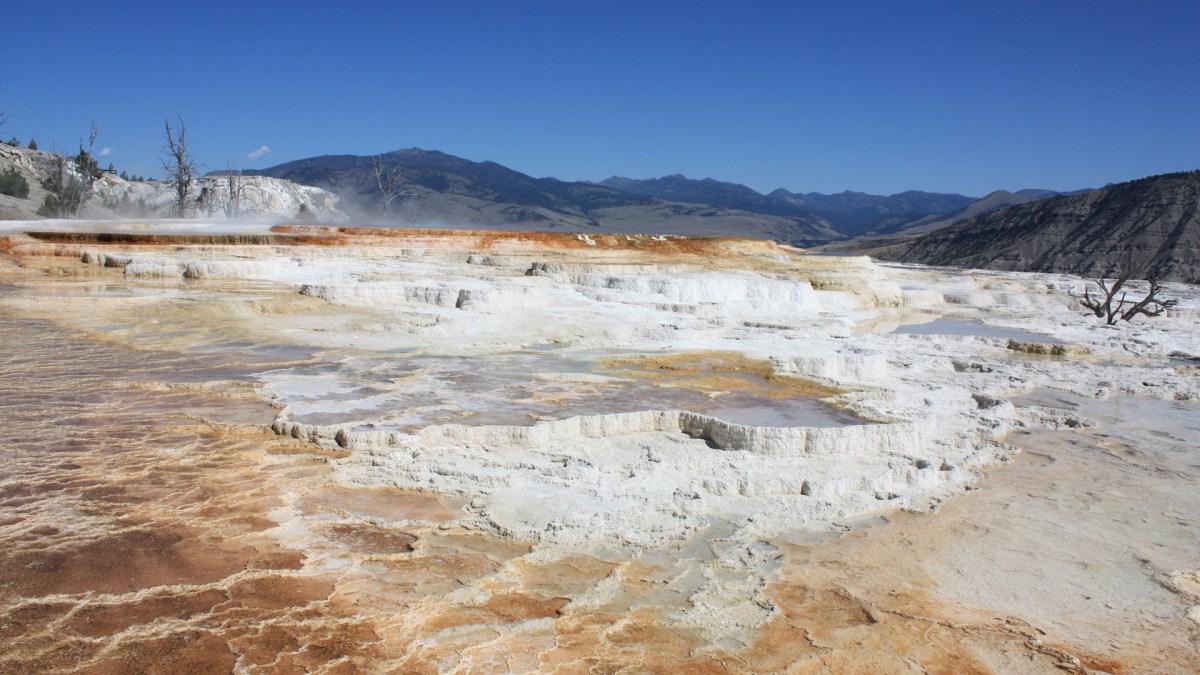 Les formations calcaires Mammoth Hot Springs. // Source : Wikimedia/CC/I. Reid (photo recadrée) Les formations calcaires Mammoth Hot Springs. // Source : Wikimedia/CC/I. Reid (photo recadrée)