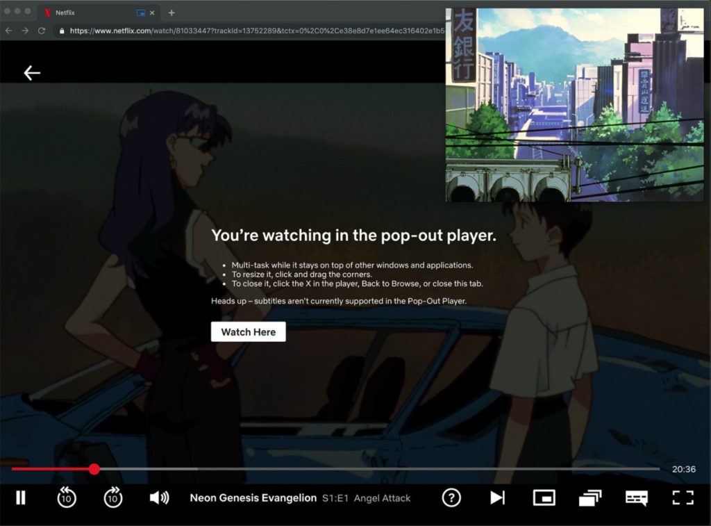 Netflix PIP Netflix PIP
