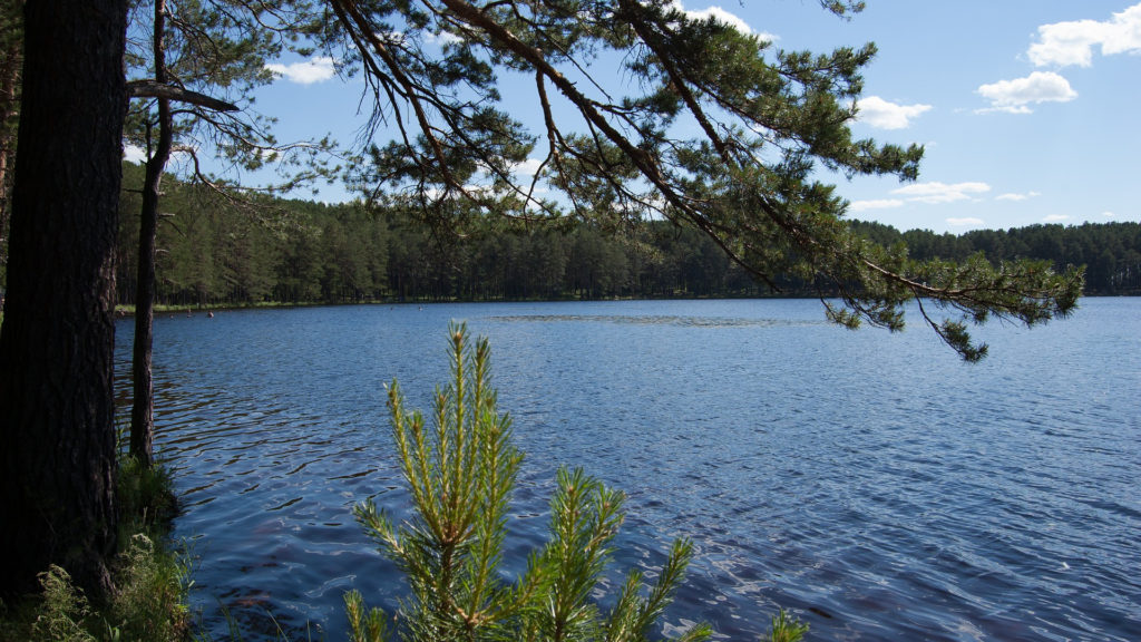 La Sibérie pendant l'été. // Source : Pixabay (photo recadrée) La Sibérie pendant l'été. // Source : Pixabay (photo recadrée)