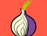 Le logo de Tor. // Source : Montage Numerama / Tor